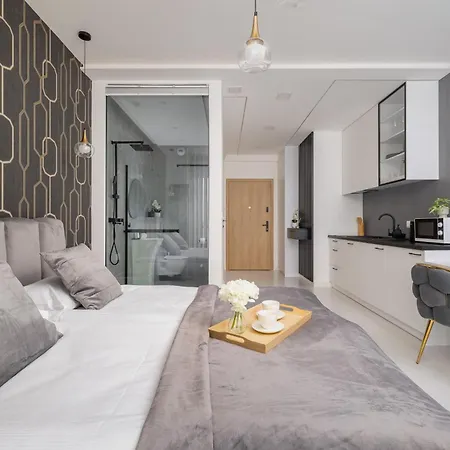 Eleganckie Z Parkingiem W Centrum Katowic Przy Rynku By Renters *