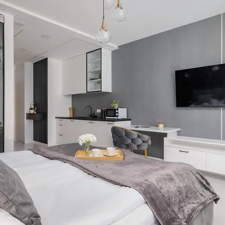 Eleganckie Z Parkingiem W Centrum Katowic Przy Rynku By Renters