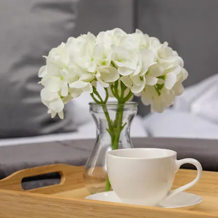 Apartament Eleganckie Z Parkingiem W Centrum Katowic Przy Rynku By Renters