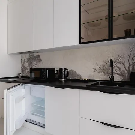 Eleganckie Z Parkingiem W Centrum Katowic Przy Rynku By Renters * Катовице