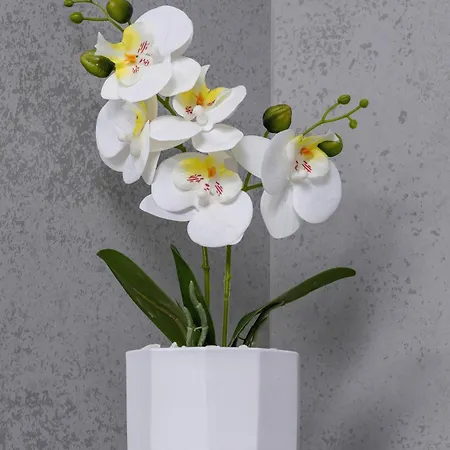 Eleganckie Z Parkingiem W Centrum Katowic Przy Rynku By Renters Apartament *