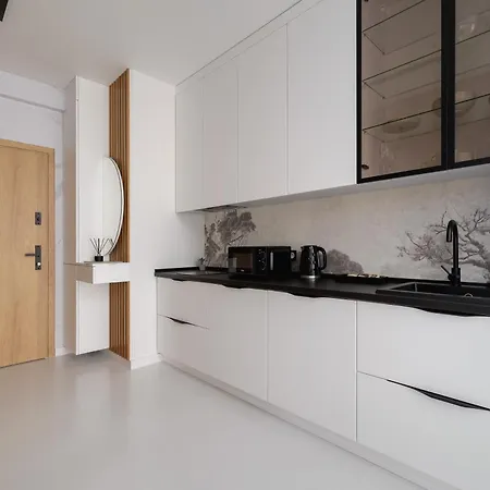 Appartement Eleganckie Zabrska Z Parkingiem W Centrum Katowic Przy Rynku By Renters *