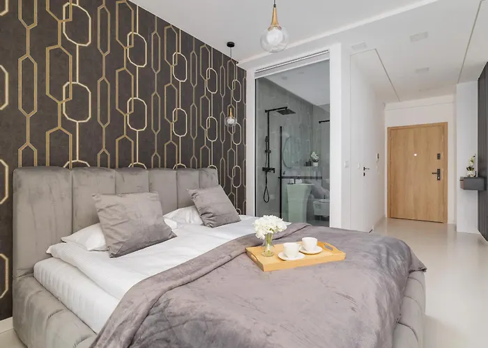 Eleganckie Zabrska Z Parkingiem W Centrum Katowic Przy Rynku By Renters *