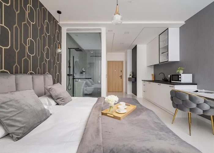 Eleganckie Z Parkingiem W Centrum Katowic Przy Rynku By Renters *