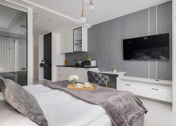 Eleganckie Z Parkingiem W Centrum Katowic Przy Rynku By Renters