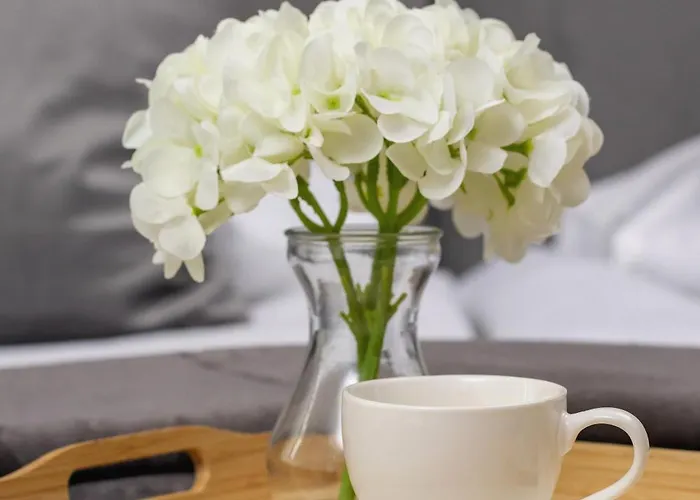 Апартаменты Eleganckie Z Parkingiem W Centrum Katowic Przy Rynku By Renters