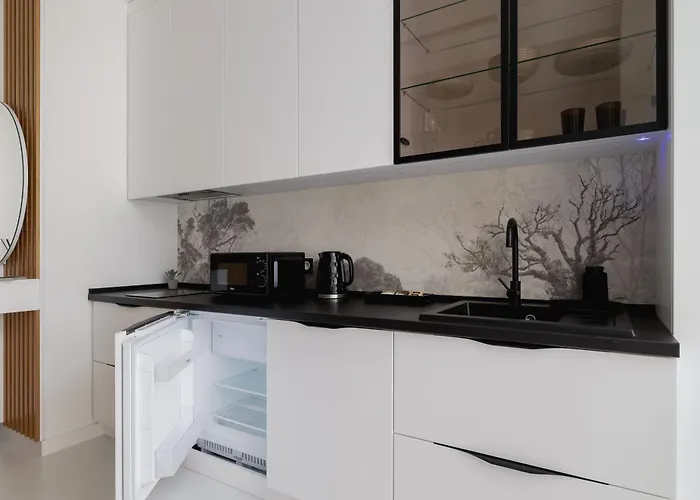 Eleganckie Zabrska Z Parkingiem W Centrum Katowic Przy Rynku By Renters * كاتوفيتسه