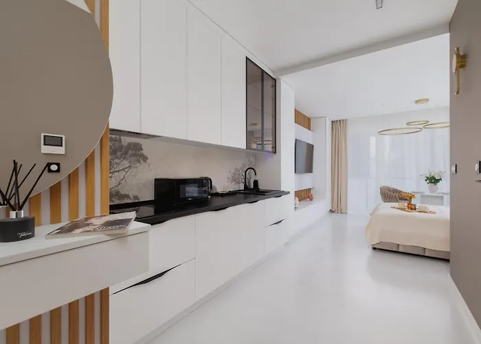 شقة Eleganckie Zabrska Z Parkingiem W Centrum Katowic Przy Rynku By Renters *