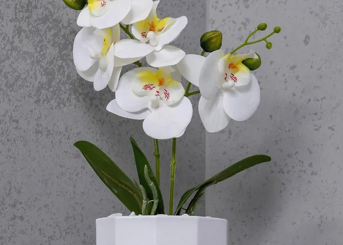 Eleganckie Z Parkingiem W Centrum Katowic Przy Rynku By Renters Апартаменты *