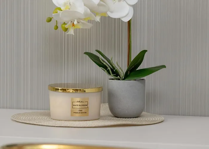 Eleganckie Zabrska Z Parkingiem W Centrum Katowic Przy Rynku By Renters * كاتوفيتسه