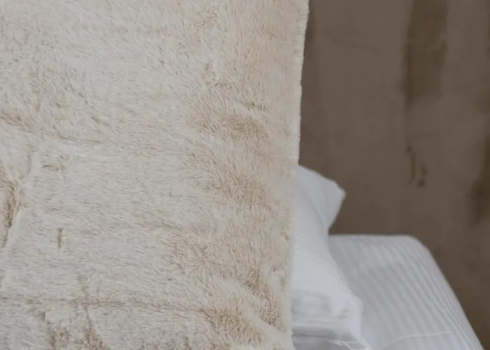 Eleganckie Zabrska Z Parkingiem W Centrum Katowic Przy Rynku By Renters